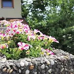 Gaestehaus Willaringen Apartman *