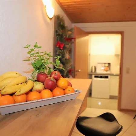 Gaestehaus Willaringen شقة *