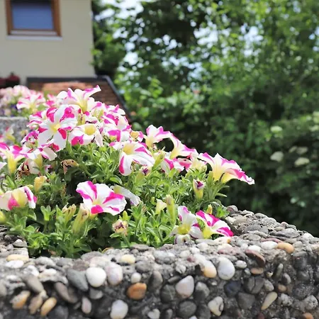 Gaestehaus Willaringen شقة *