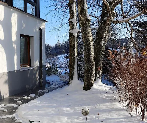 Apartment Gaestehaus Willaringen Rickenbach (Baden-Wurttemberg)