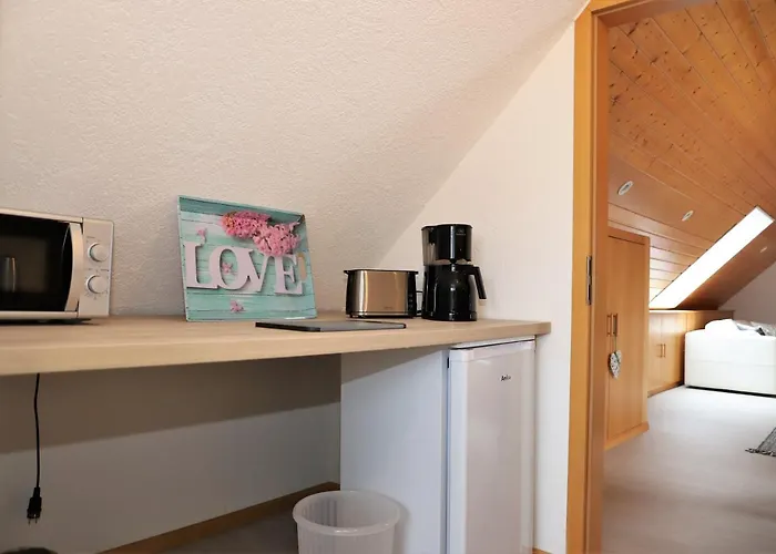 Apartment Gaestehaus Willaringen Rickenbach (Baden-Wurttemberg)